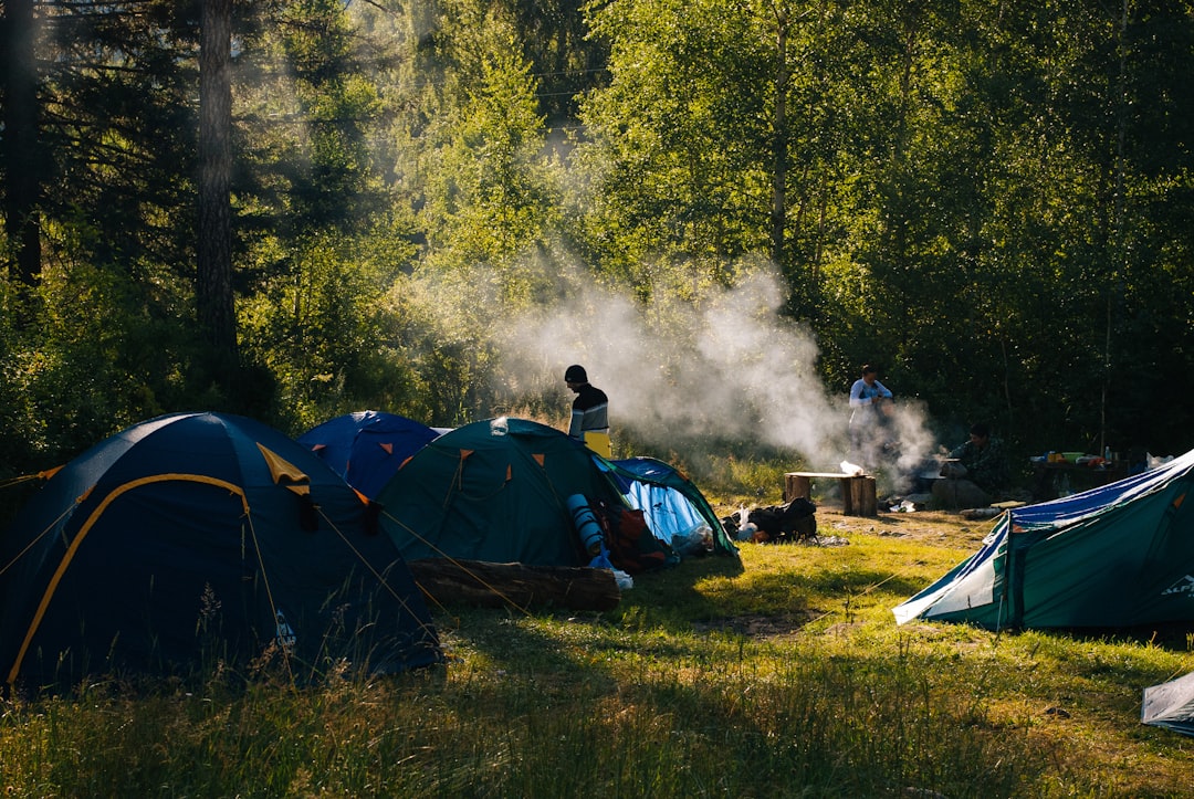 gestion efficace des terrains de camping : outils et conseils pour optimiser l'organisation, la réservation et l'expérience client.