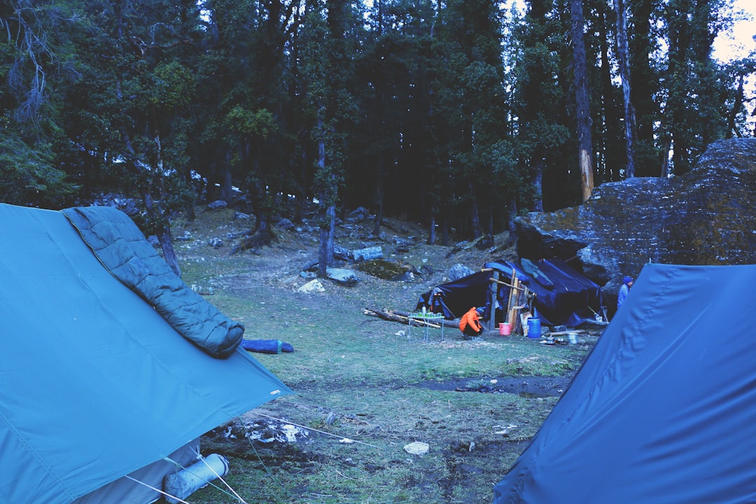 découvrez nos solutions efficaces pour la gestion de campings, optimisez l'expérience de vos visiteurs et simplifiez l'organisation de vos emplacements.