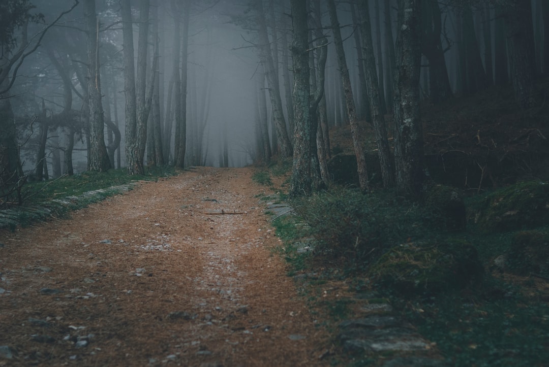 découvrez les différentes étapes d'un career path : conseils, exemples de parcours professionnels et outils pour évoluer dans votre carrière. trouvez la voie qui vous correspond et atteignez vos objectifs professionnels.