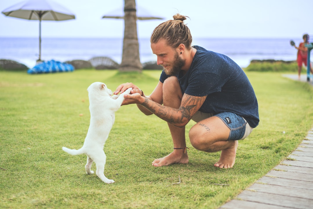 découvrez les services d'un dresseur de chiens professionnel : éducation canine, conseils personnalisés et méthodes positives pour un chien obéissant et heureux.