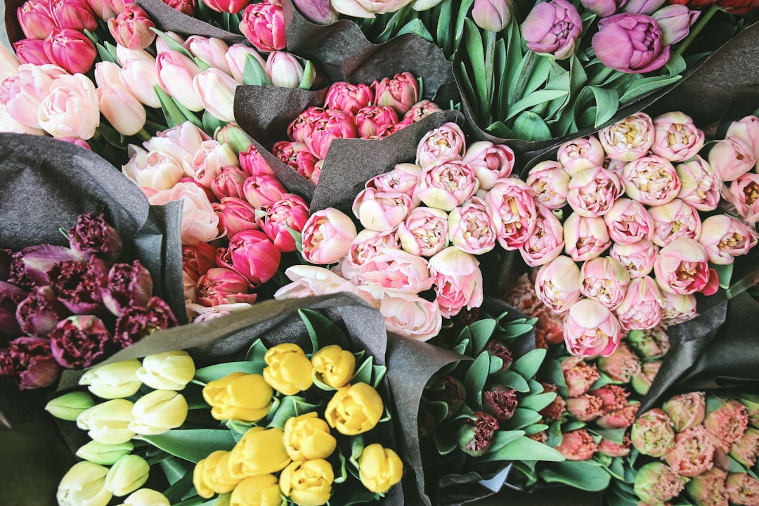 découvrez notre boutique de fleuriste offrant des compositions florales fraîches et uniques pour toutes vos occasions. livraison rapide et service personnalisé.