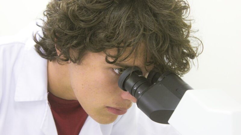 découvrez les études en science forensique pour comprendre les techniques d'analyse scientifique appliquées à la résolution d'enquêtes criminelles et judiciaires.
