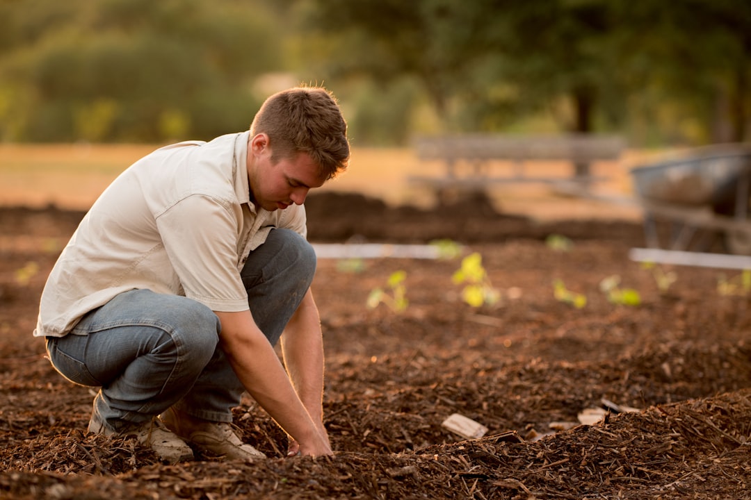 découvrez nos conseils et astuces de jardinage pour entretenir un jardin magnifique toute l'année avec nos experts jardiniers.