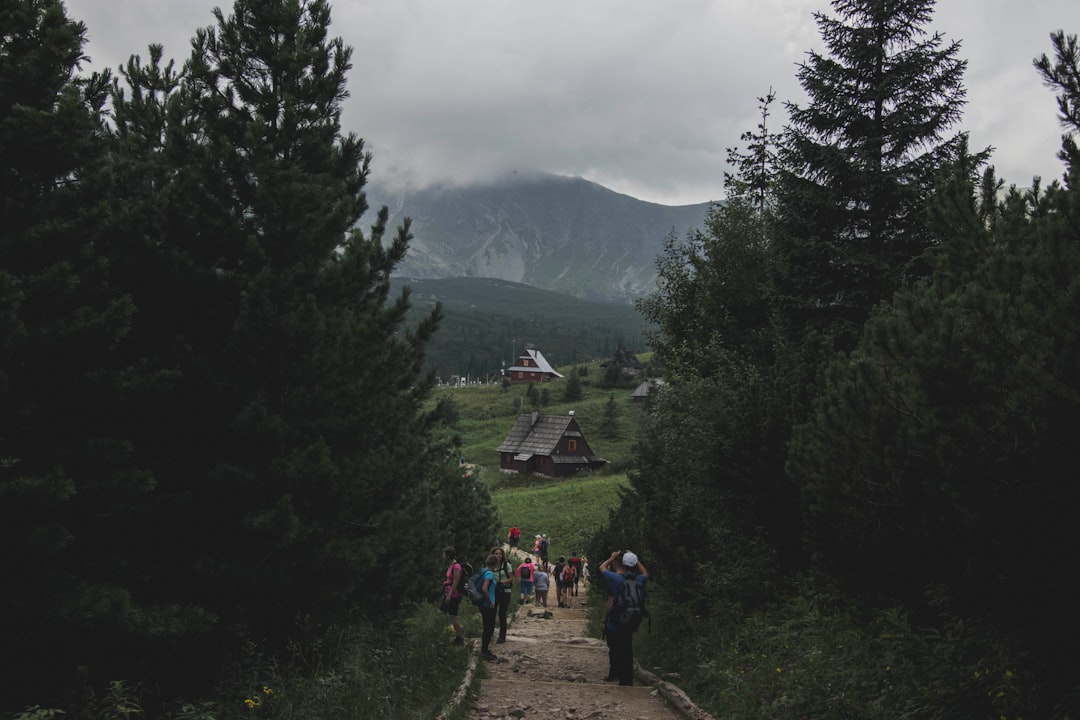 découvrez l'expertise d'un guide de montagne professionnel pour des aventures en toute sécurité et des paysages à couper le souffle.