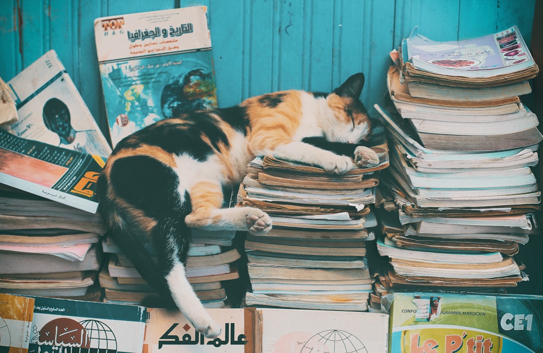 découvrez des conseils et astuces pour organiser efficacement vos siestes, améliorer votre confort et optimiser votre récupération grâce à une bonne organisation de vos pauses.
