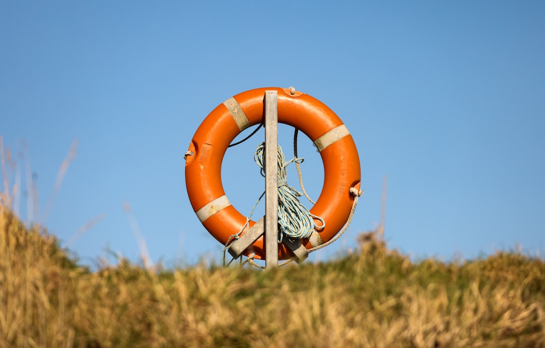 service de secours en mer rapide et sécurisé, intervenant pour sauver des vies et assister les personnes en danger sur l'eau.