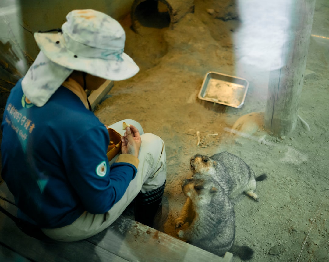 découvrez le métier de zoologiste : études des animaux, habitats, comportement et conservation pour mieux comprendre la faune mondiale.