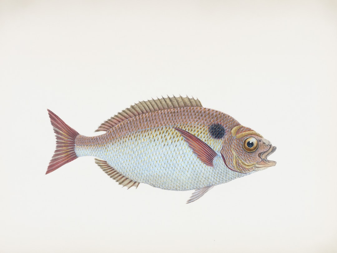 découvrez les études en zoologie, la science qui explore la vie animale, leur comportement, leur classification et leur écologie.