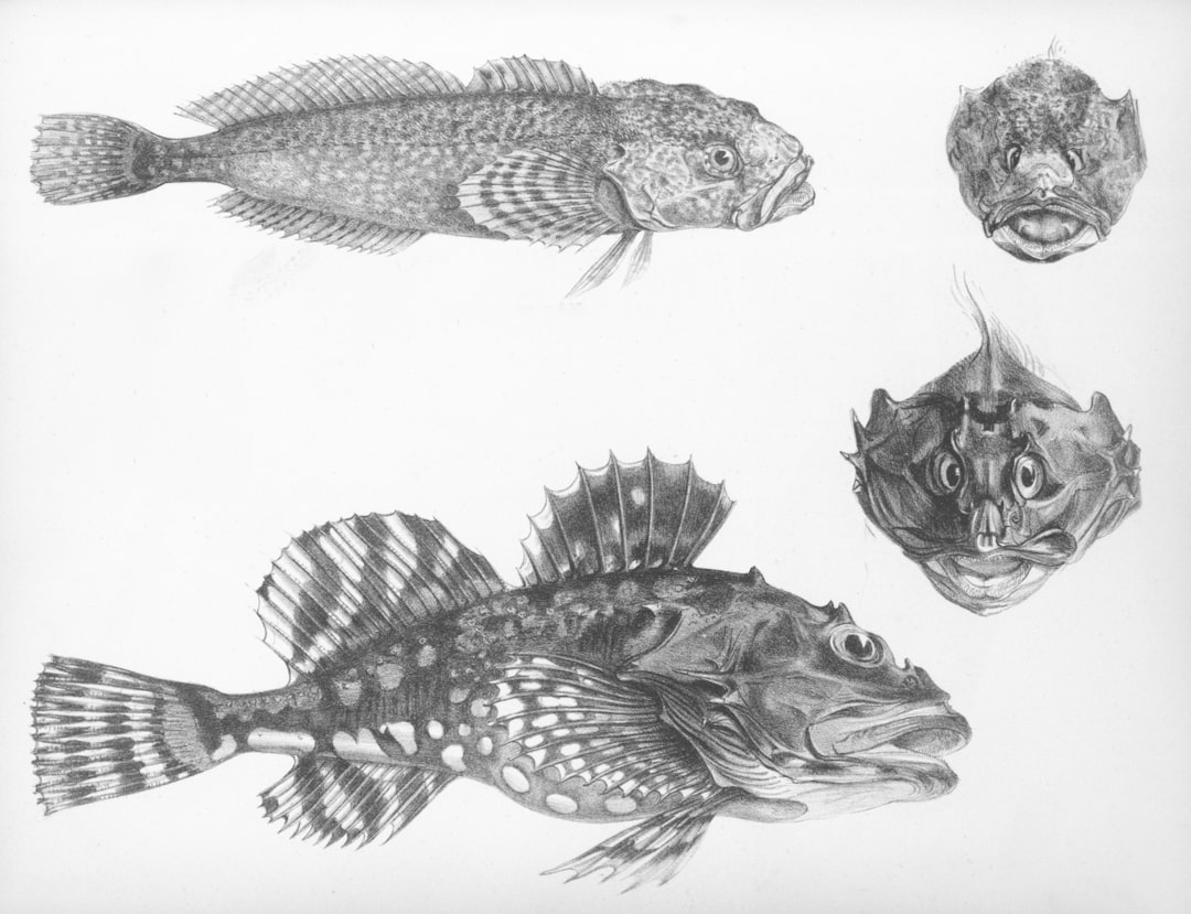 découvrez les études en zoologie, la science dédiée à l'étude des animaux, leur comportement, leur habitat et leur évolution.